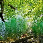 Tweet Tohuus * Feldberger Seenlandschaft